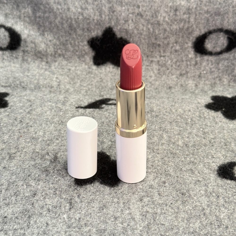 Estee Lauder pure color lipstick (670)